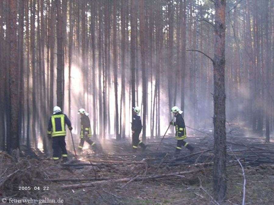 Einsatz 4-2005